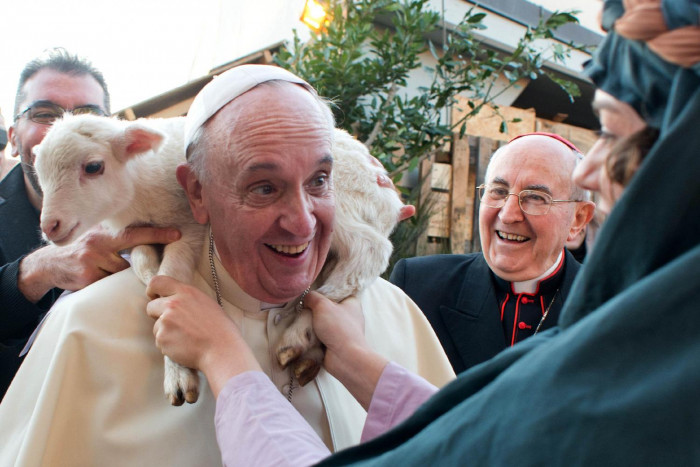 “Pope Francis: Leading the Animal Kingdom and Challenging Tradition”
